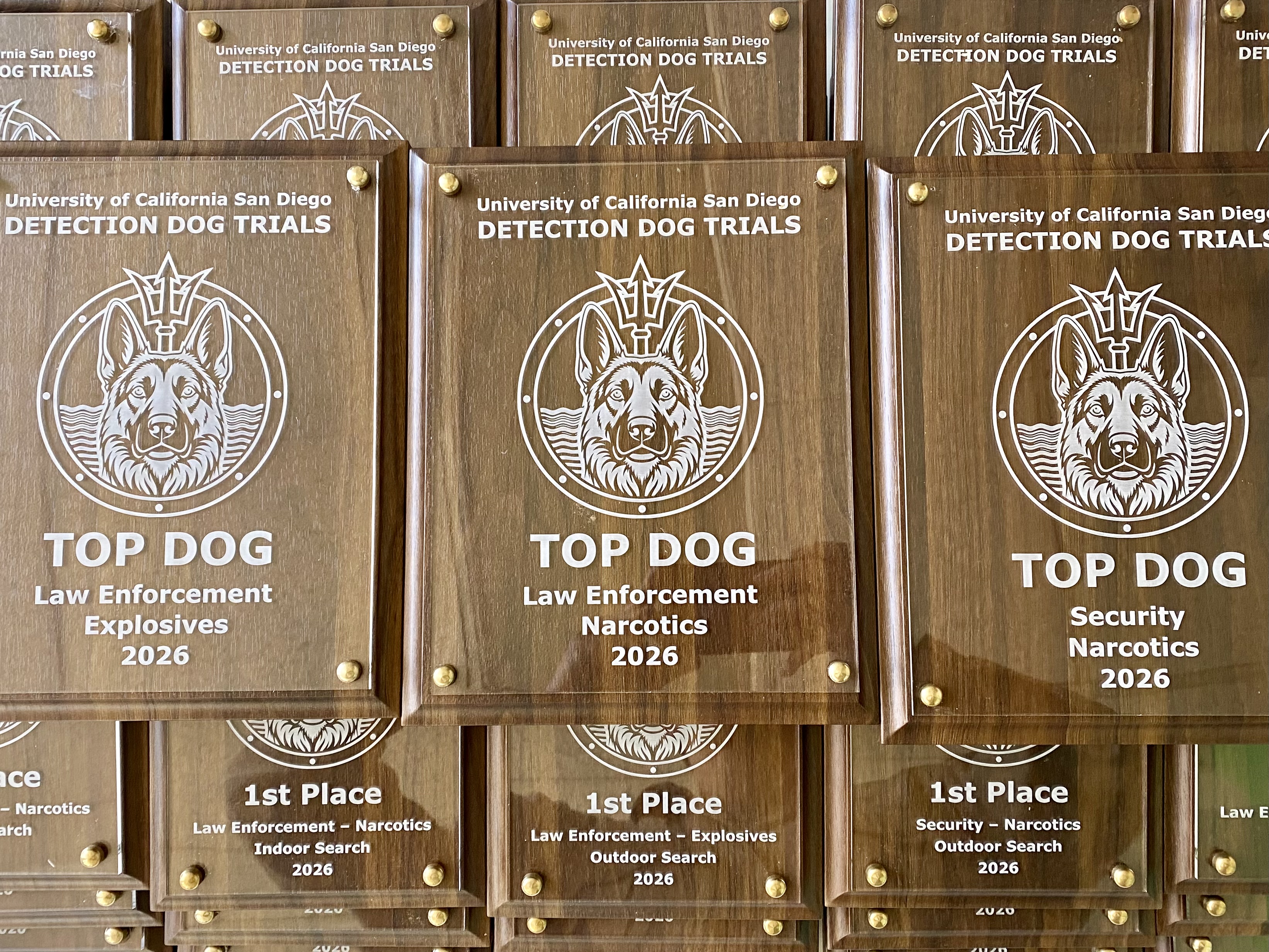 Trophy